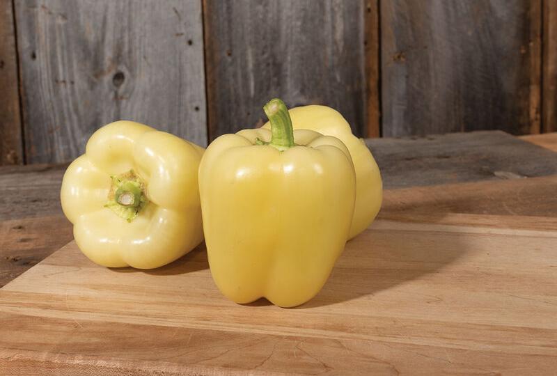 Snowball (Johnny’s Selected Seeds)