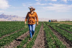 January: Taylor Farms Digs Into the Secrets of Cover Crops