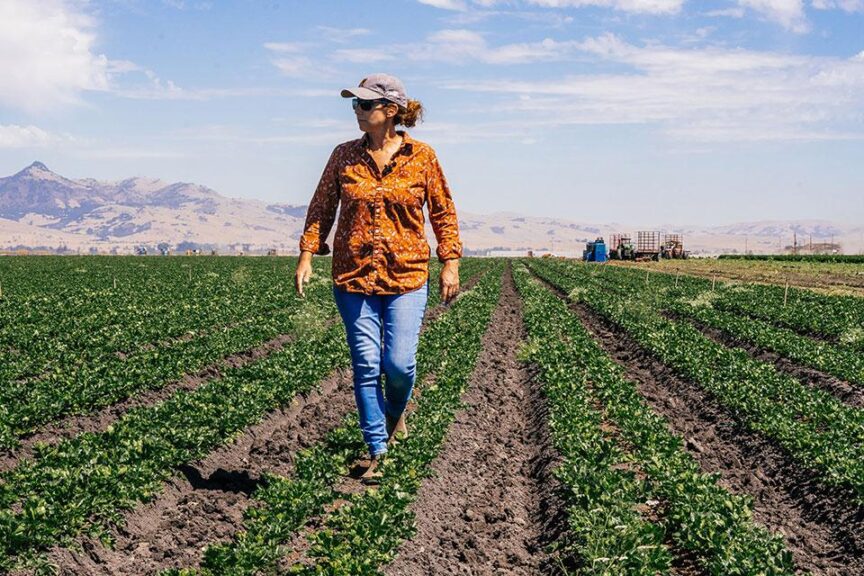 January: Taylor Farms Digs Into the Secrets of Cover Crops