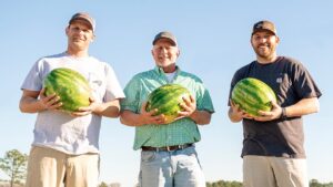 How Howell Farming Co. Fights for Great Watermelon