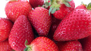 Sweet and Strong: What To Know About the New ‘Lumina’ Strawberry
