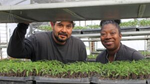 How Lucero Organic Farms Has Carved a Unique Niche With Strawberries
