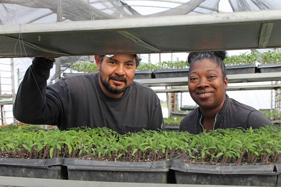 How Lucero Organic Farms Has Carved a Unique Niche With Strawberries