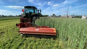 TL16 Shredder/Flail Mower (Forigo)