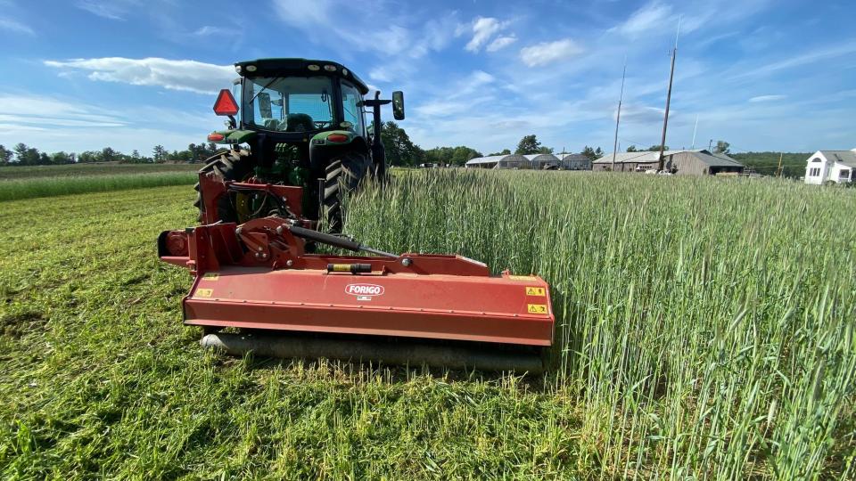 TL16 Shredder/Flail Mower (Forigo)