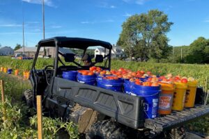 Defender Pro XT utility task vehicle (Can-Am) 