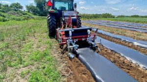 Equipment Updates Propel Davidian’s Farm Market Into The Future
