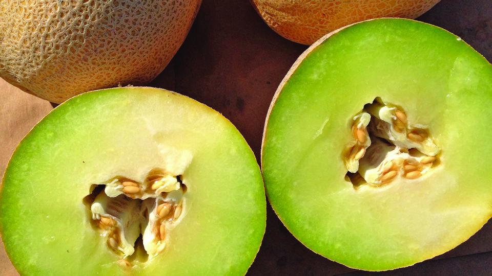 18 Melons You Will Want To Know and Grow Now - Growing Produce