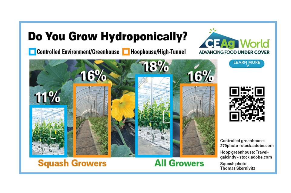 hydroponic squash production chart for 2023 season