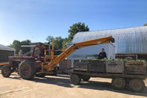 Veg-Veyer harvester (Harvest Products)