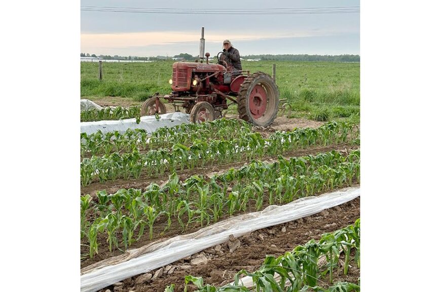 Super AV tractor (Farmall International Harvester)