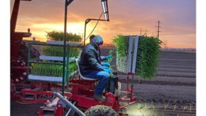 Working Nights Made Easy for This Sweet Corn Grower