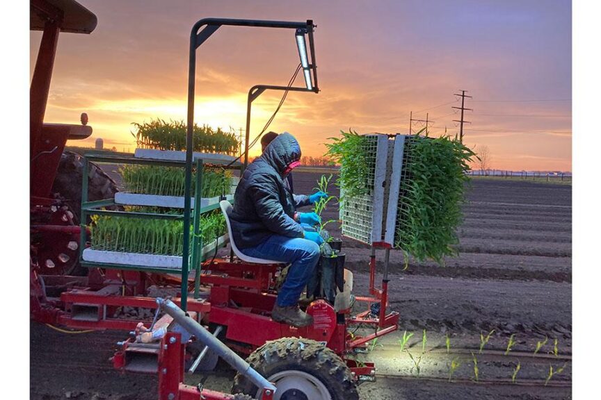 April: Working Nights Made Easy for This Sweet Corn Grower