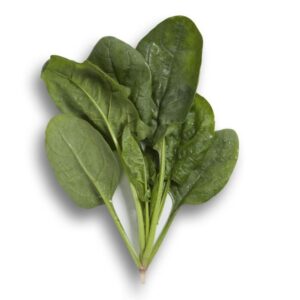 Diamondback RZ (Rijk Zwaan USA, Osborne Quality Seeds)