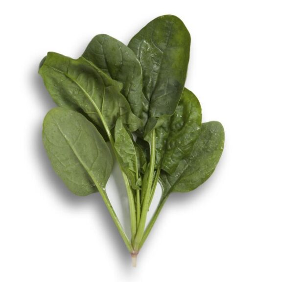 Diamondback RZ (Rijk Zwaan USA, Osborne Quality Seeds)