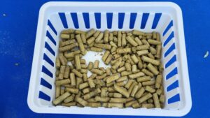 New Research Project Turning Whole Hops Into Pellets — Here’s Why