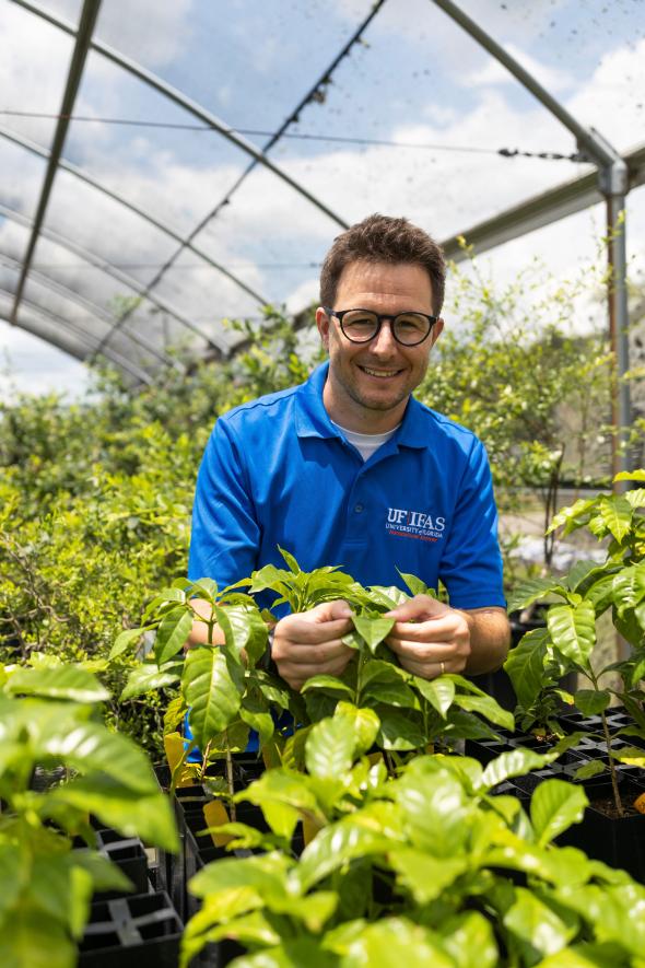 Felipe Ferrao of UF/IFAS in greenhouse full of coffee plants