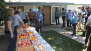 My Take on One Tasty IFTA Summer Study Tour