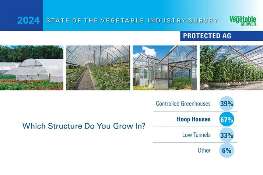 2024 American Vegetable Grower State of the Industry Survey National Snapshot