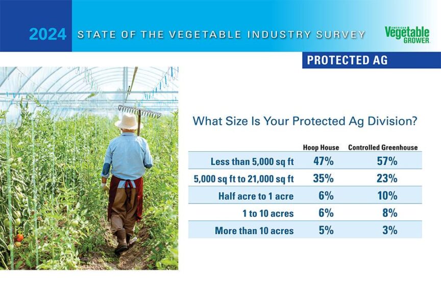 2024 American Vegetable Grower State of the Industry Survey National Snapshot