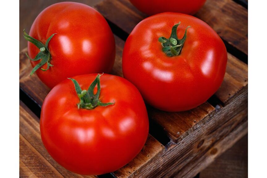 26 Tasty Tomato Varieties You Should Know and Grow Now - Growing