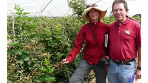 Endeavoring To Find out More About Pocket Breeding in Berries