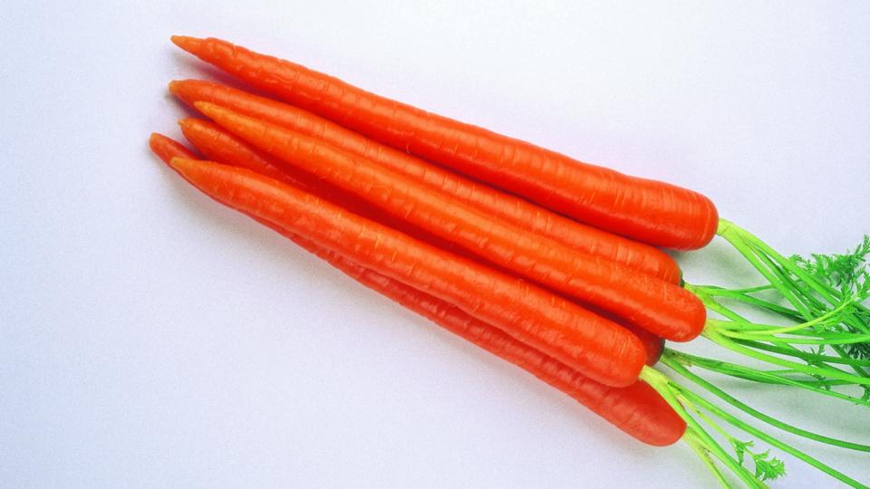 Enterprise (Vegetables by Bayer, Seminis Vegetable Seeds, Rupp Seeds)