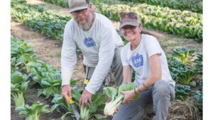 This Organic Vegetable Farm Finds Itself at a Crossroads — So, Which Way Now?
