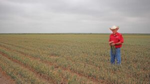 How Dixondale Farms Is Aiming To Protect Its Legacy