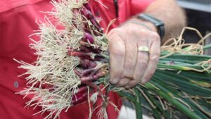 Why New Leaders Should Earn Their Roles on the Farm