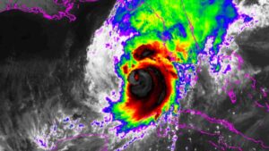 Report Adds up Hurricane Milton’s Big Blow to Florida Agriculture