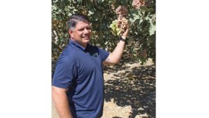 Pistachio Power: Where Growing and Research Mesh for Success