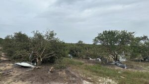 More Than $675 Million in Additional Disaster Assistance on the Way for Florida Farmers
