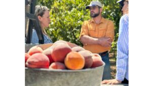 Celebrating Postharvest Research With a Special Cherry on Top