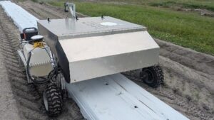AI Behind Smarter Way To Control Weeds in Vegetables