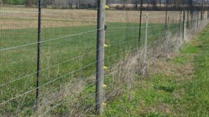 Ways Grape Growers Can Plug In To Keep Deer Out