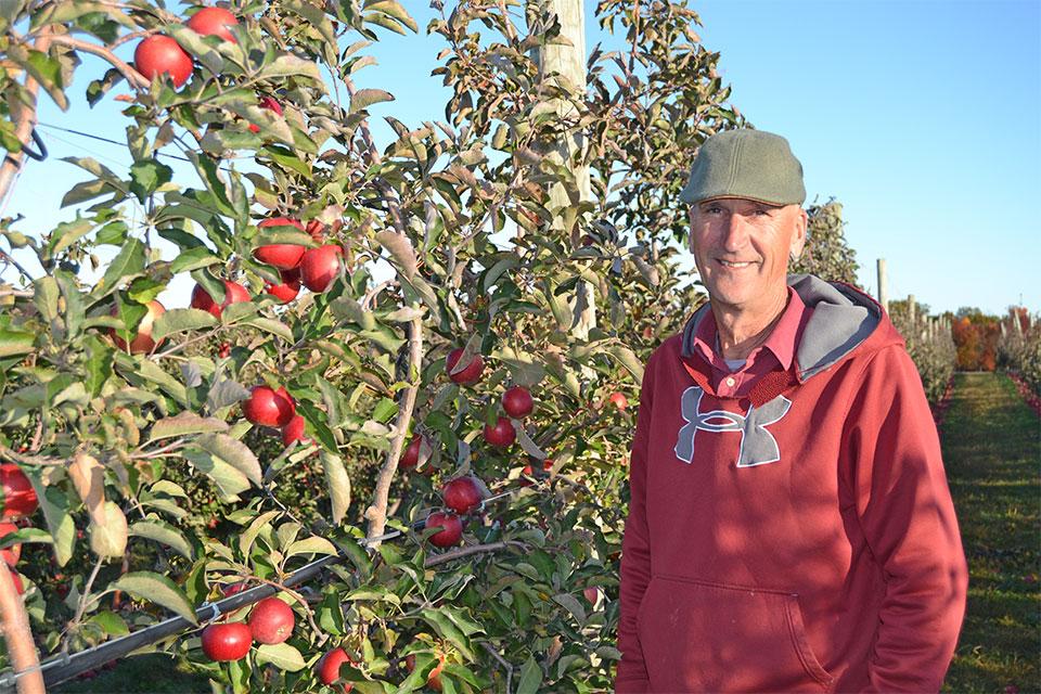 One Grower’s Take on the Apple Industry’s Oversupply Issue