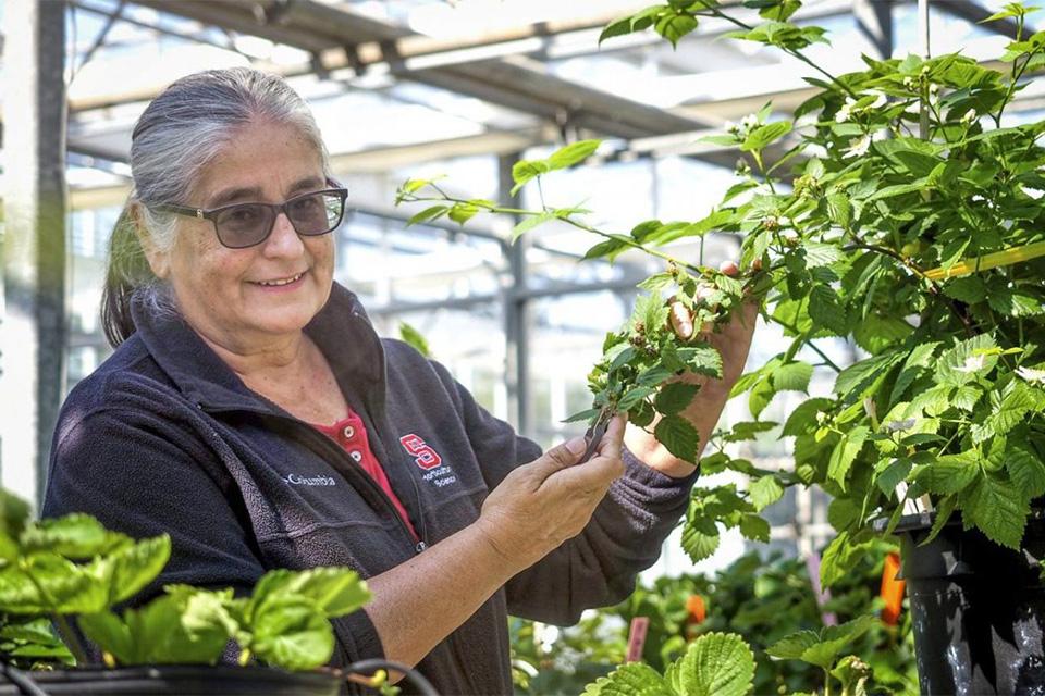 Small fruit specialist Gina Fernandez
