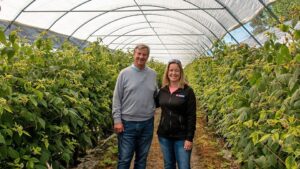 Where Boundaries Are Being Broken for Growing Raspberries