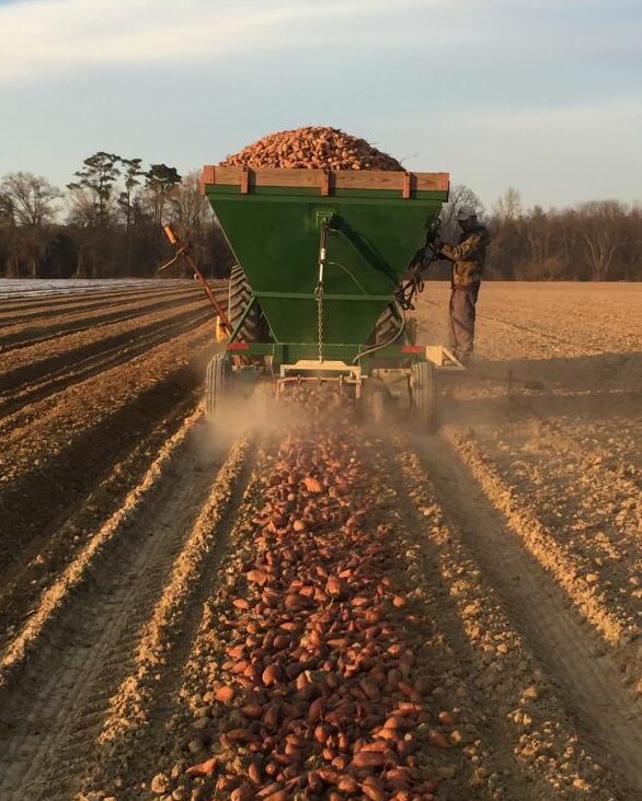 Rear view of Strickland Bros. Seed Master at Howell Farming Co. in North Carolina
