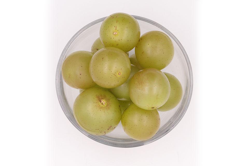 Ga.6-1-269 bronze muscadine grapes