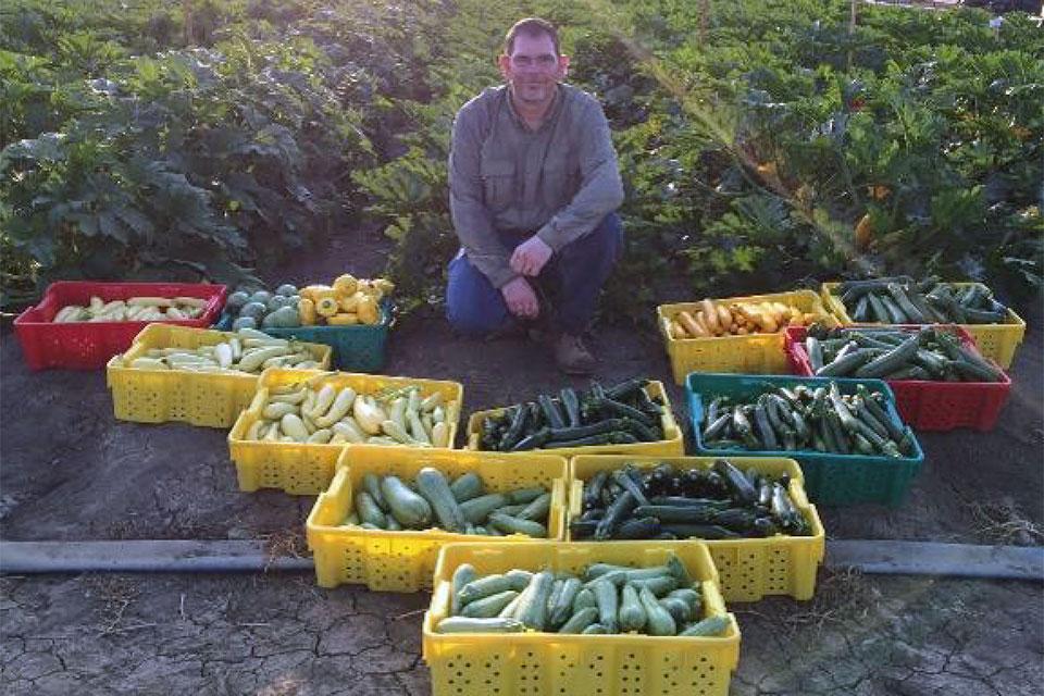 Les Padley of Syngenta Vegetable Seeds