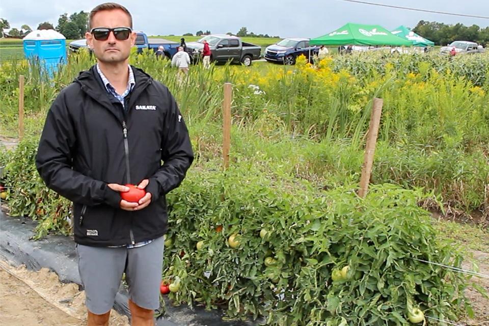 Michael Ferlito of Sakata Seed shows off the STM2255 tomato at 2024 seeds trials