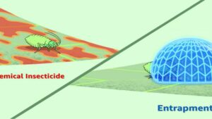 Entrapment Insecticide a New Tool Soon for Specialty Crop Growers