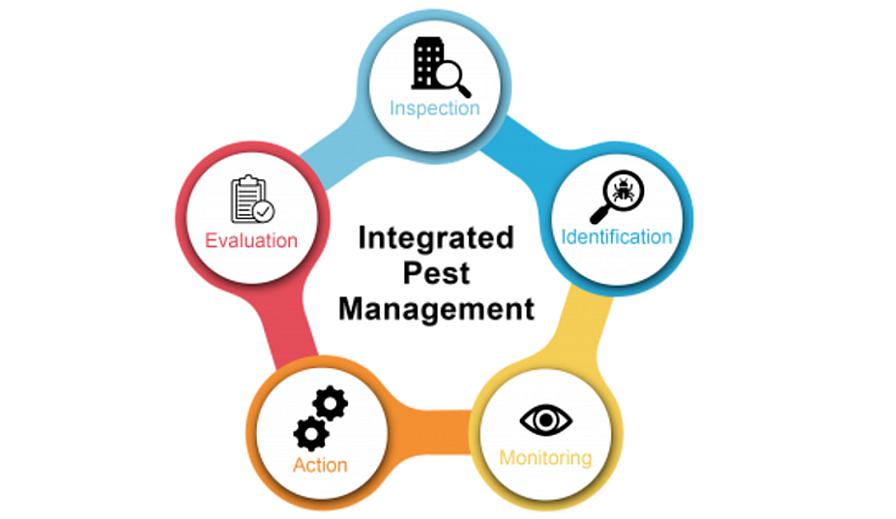 EPA illustration showing IPM process