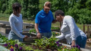 Ways One Farmer Is Taking on the Food Desert Dilemma