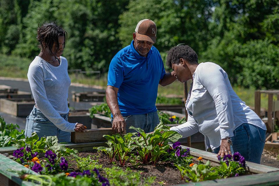 Ways One Farmer Is Taking on the Food Desert Dilemma