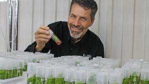 Almond Breeding Breakthrough! The Future Is Now With ‘Nonpareil SC+’
