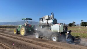 Weed Control Follow Up: Consider These Dacthal Herbicide Alternatives