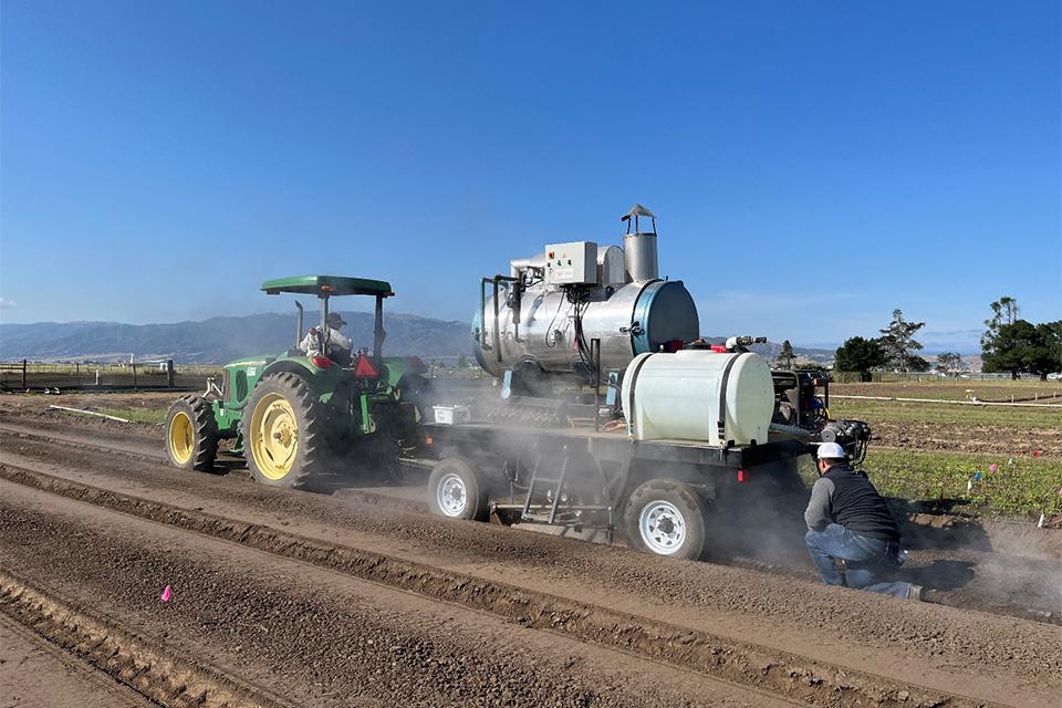 Weed Control Follow Up: Consider These Dacthal Herbicide Alternatives